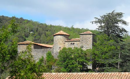 burası gibi aktif site var mı?