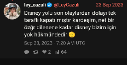KAMALİST lazuli