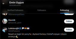 ponyci chpli